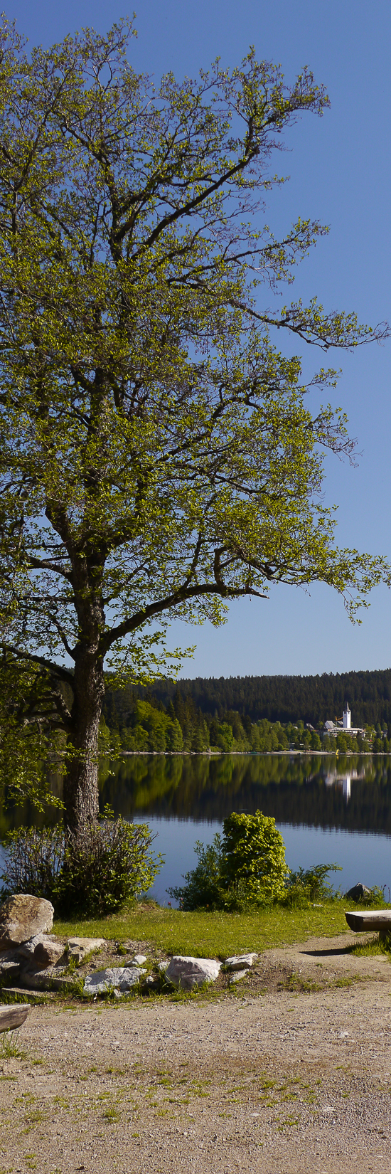 Titisee von der Sandbank aus