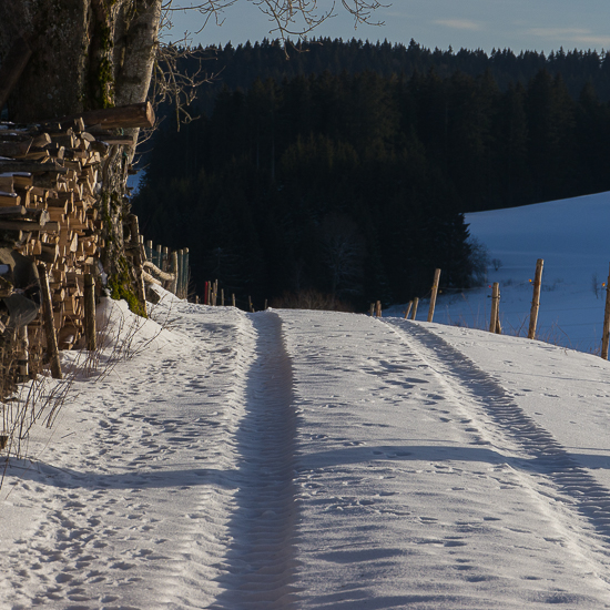 Oberaltenweg im Winter