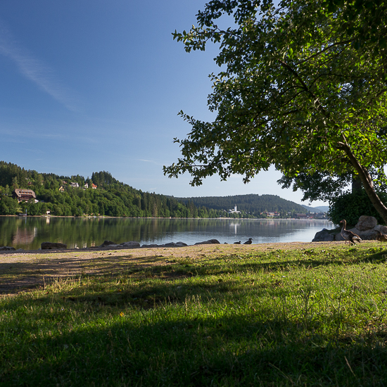 Titisee von der Sandbank aus