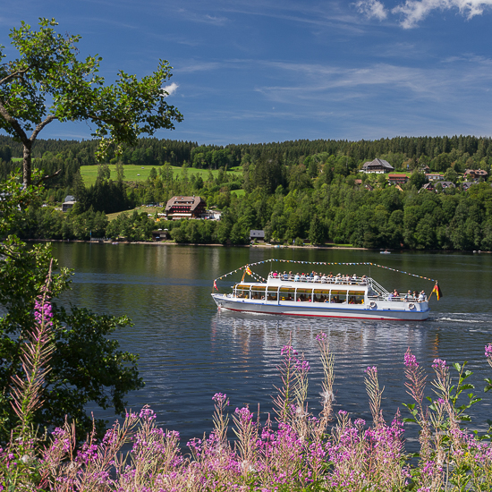 Titisee vom Seerundweg aus gesehen