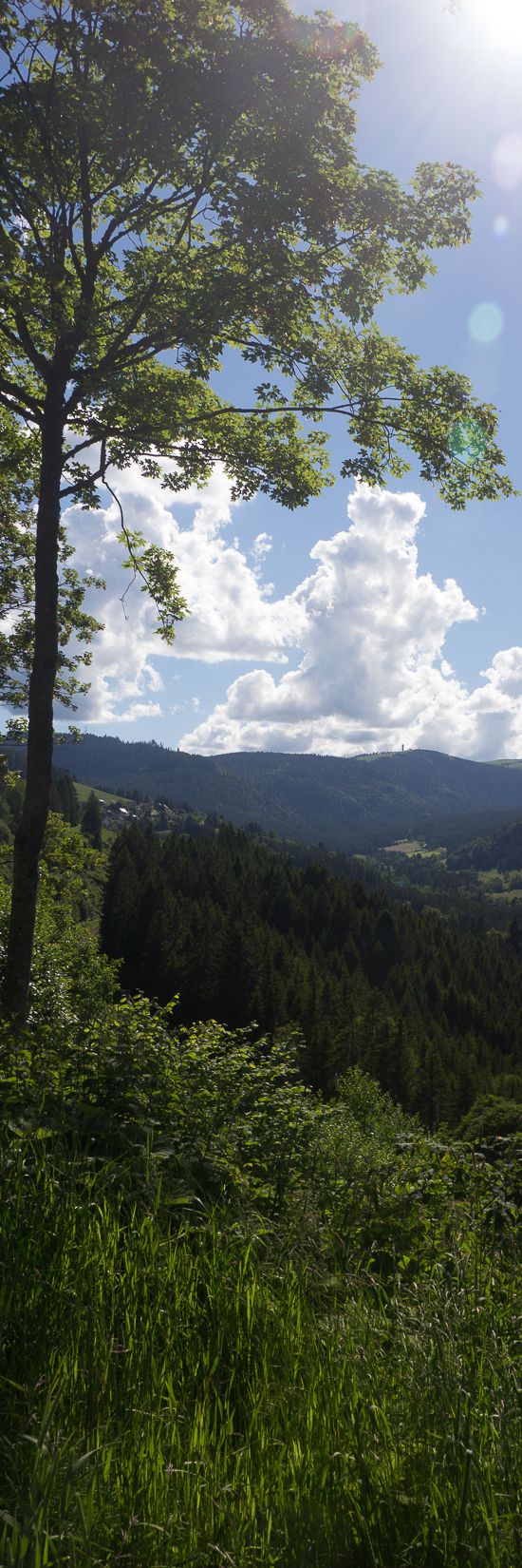 Blick durch das Bärental Richtung Feldberg